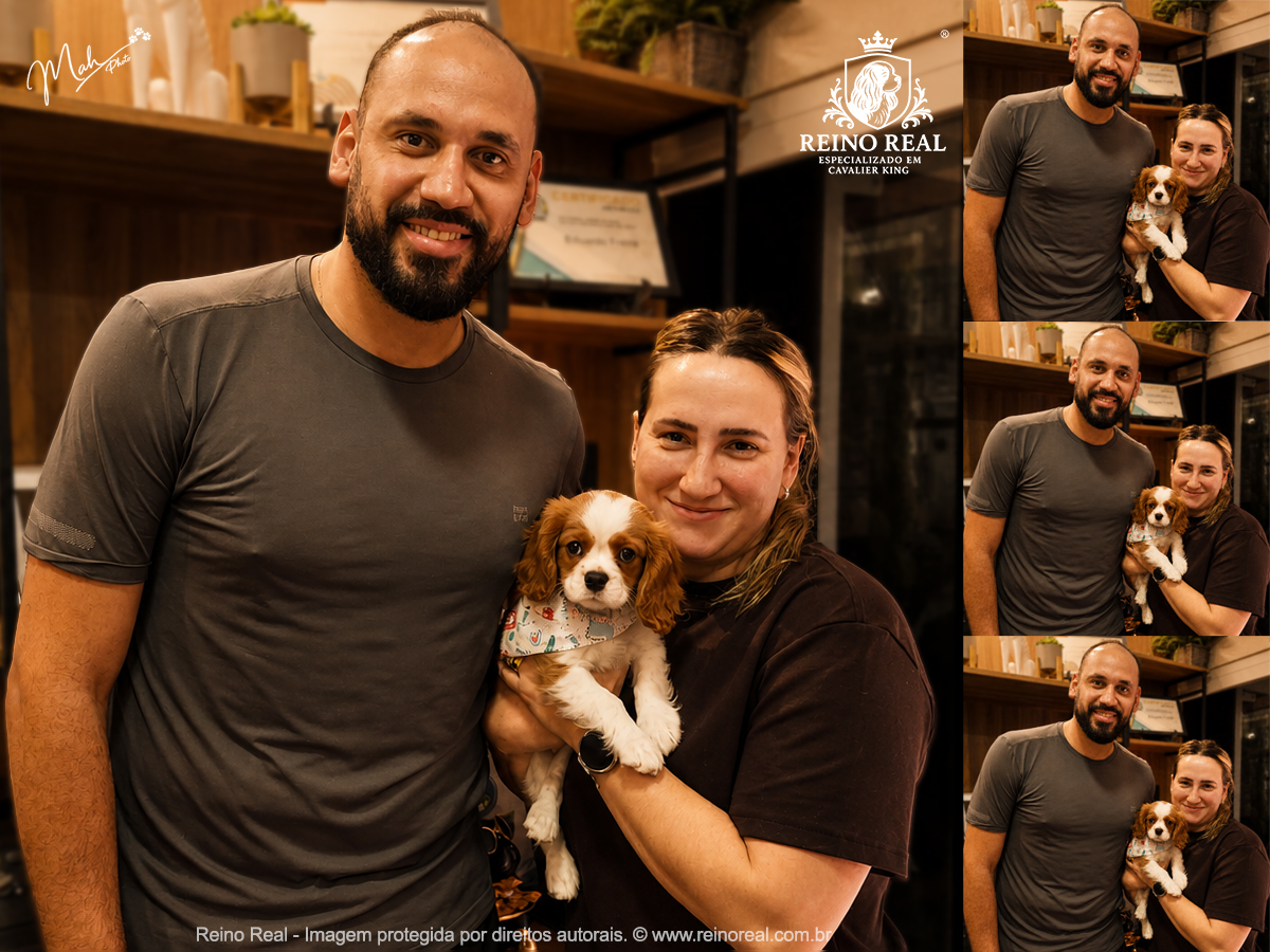 Cliente Vale dos Chihuahuas