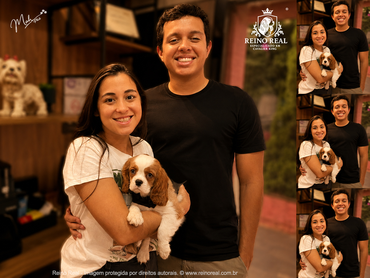 Cliente Vale dos Chihuahuas