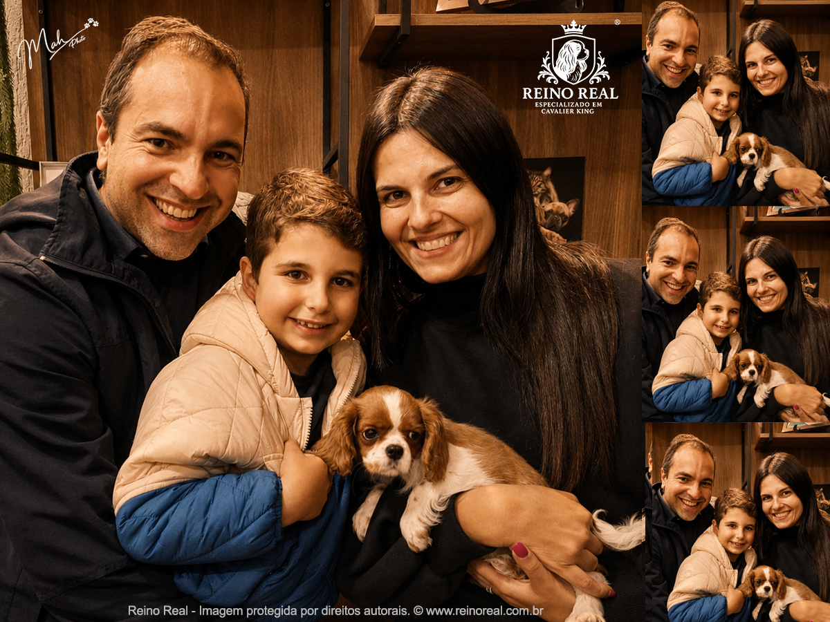 Cliente Vale dos Chihuahuas